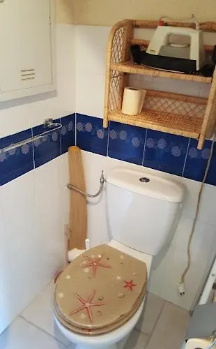 Les Hauts De St Clair,vue Et Vert,tres Calme * Le Lavandou